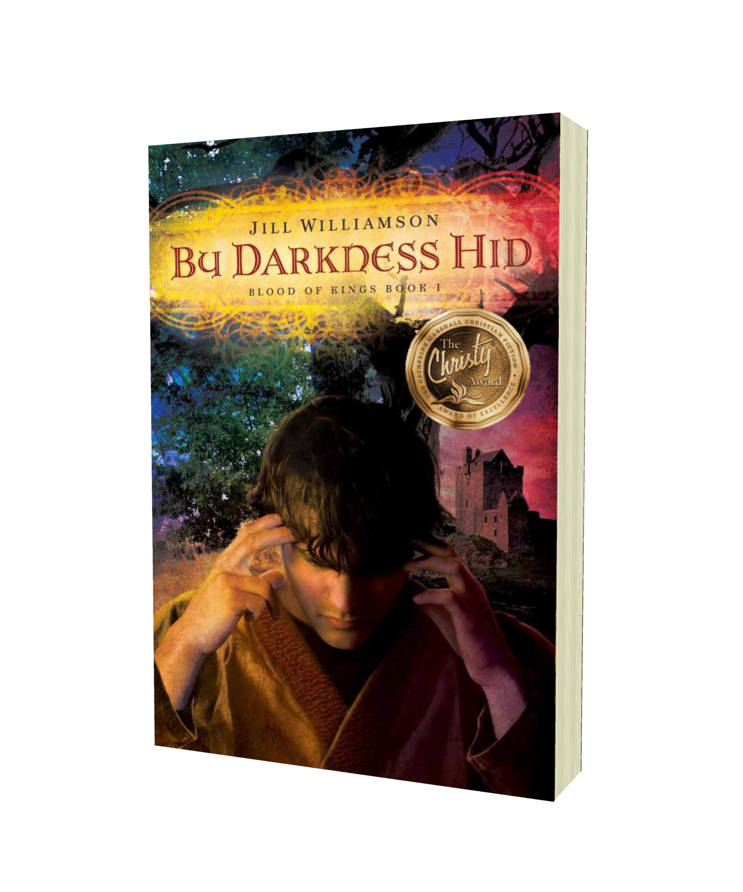 By Darkness Hid - Paperback