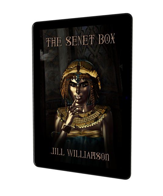 The Senet Box - eBook